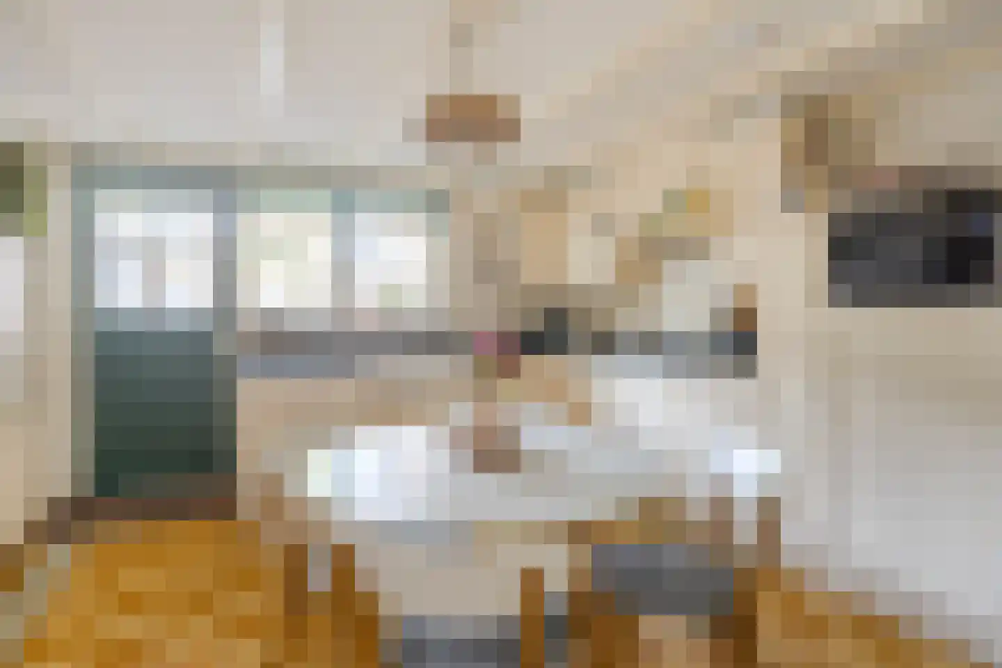 Nieuwstraat 36 Oostburg thumbnail 9