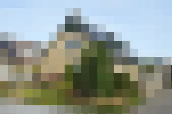 Nieuwstraat 37 Liessel thumbnail 18