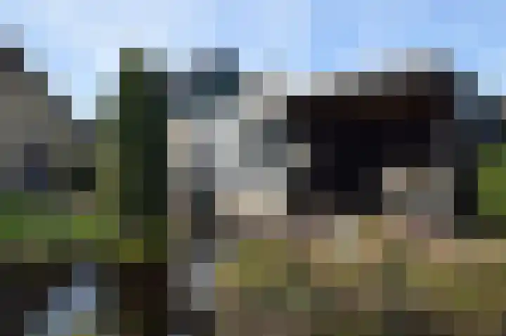 Nieuwstraat 37 Liessel thumbnail 22