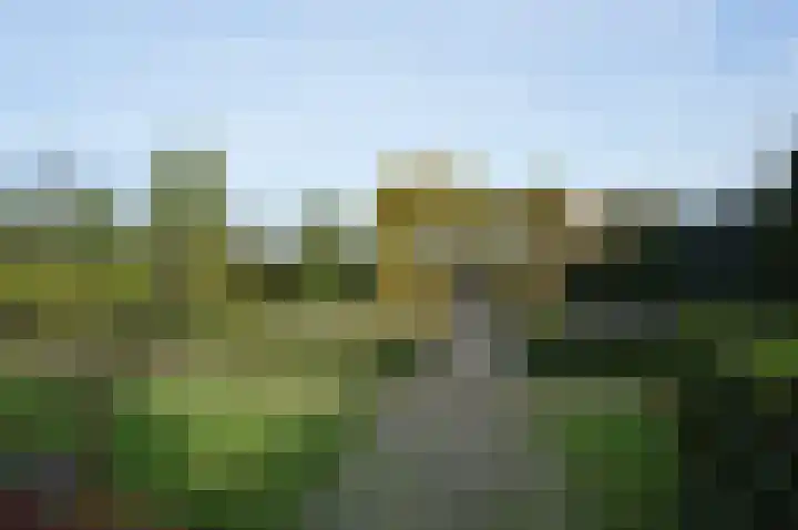 Nieuwstraat 37 Liessel thumbnail 23