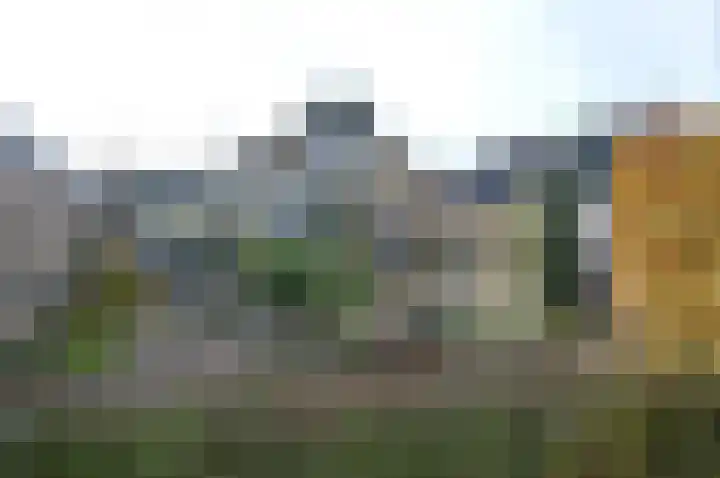 Nieuwstraat 37 Liessel thumbnail 25