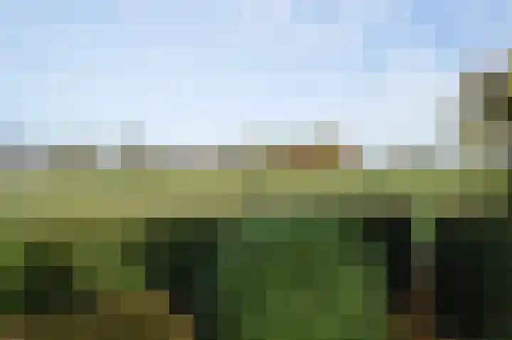 Nieuwstraat 37 Liessel thumbnail 27