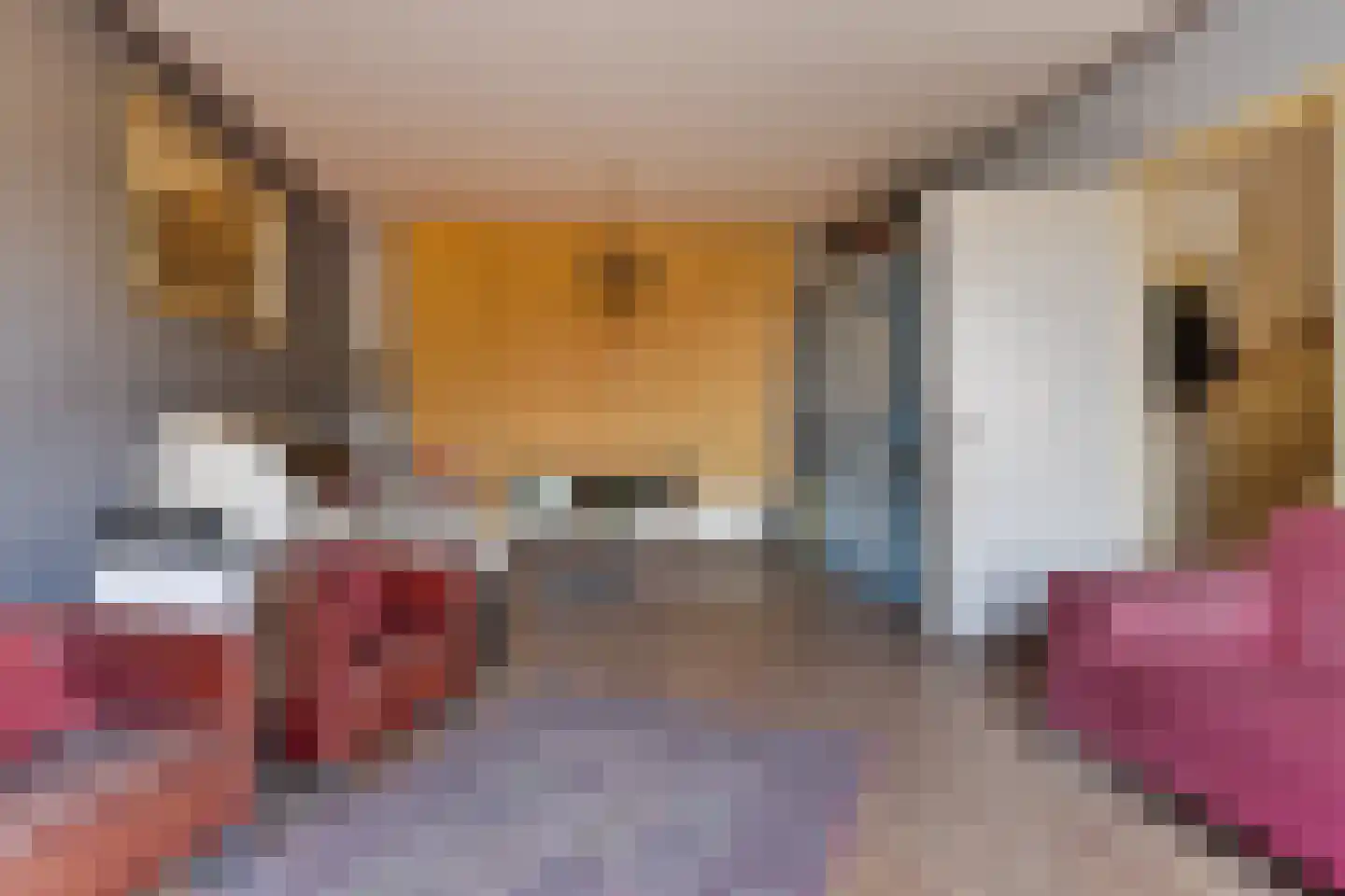 Nieuwstraat 37 Oostburg thumbnail 8