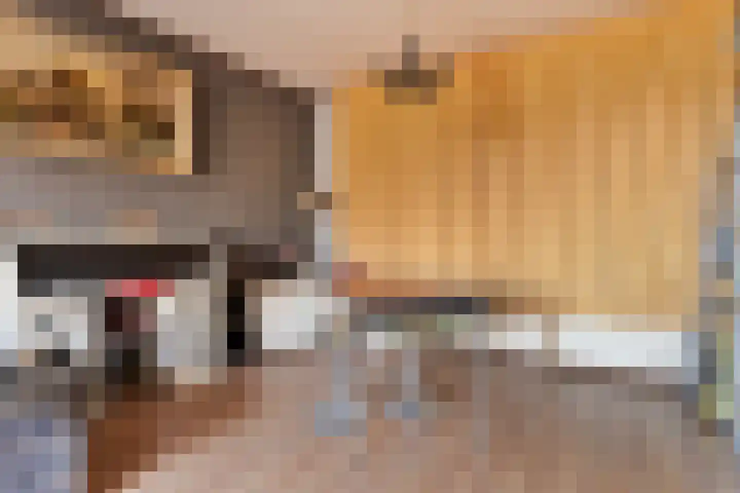 Nieuwstraat 37 Oostburg thumbnail 9