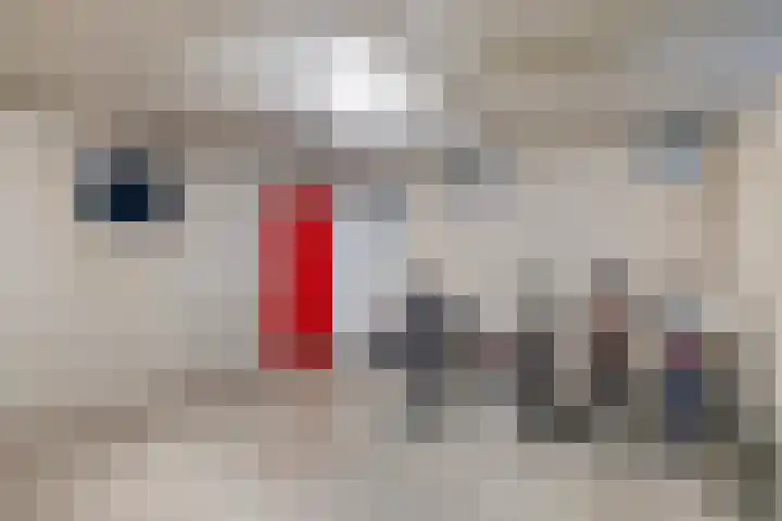 Nieuwstraat 38 G Apeldoorn thumbnail 22