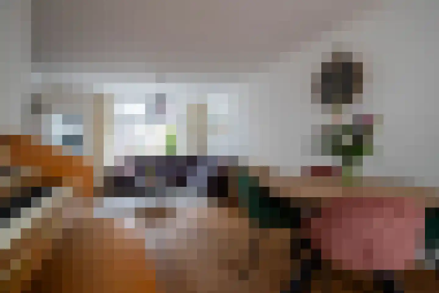 Nieuwstraat 38 Genemuiden thumbnail 10