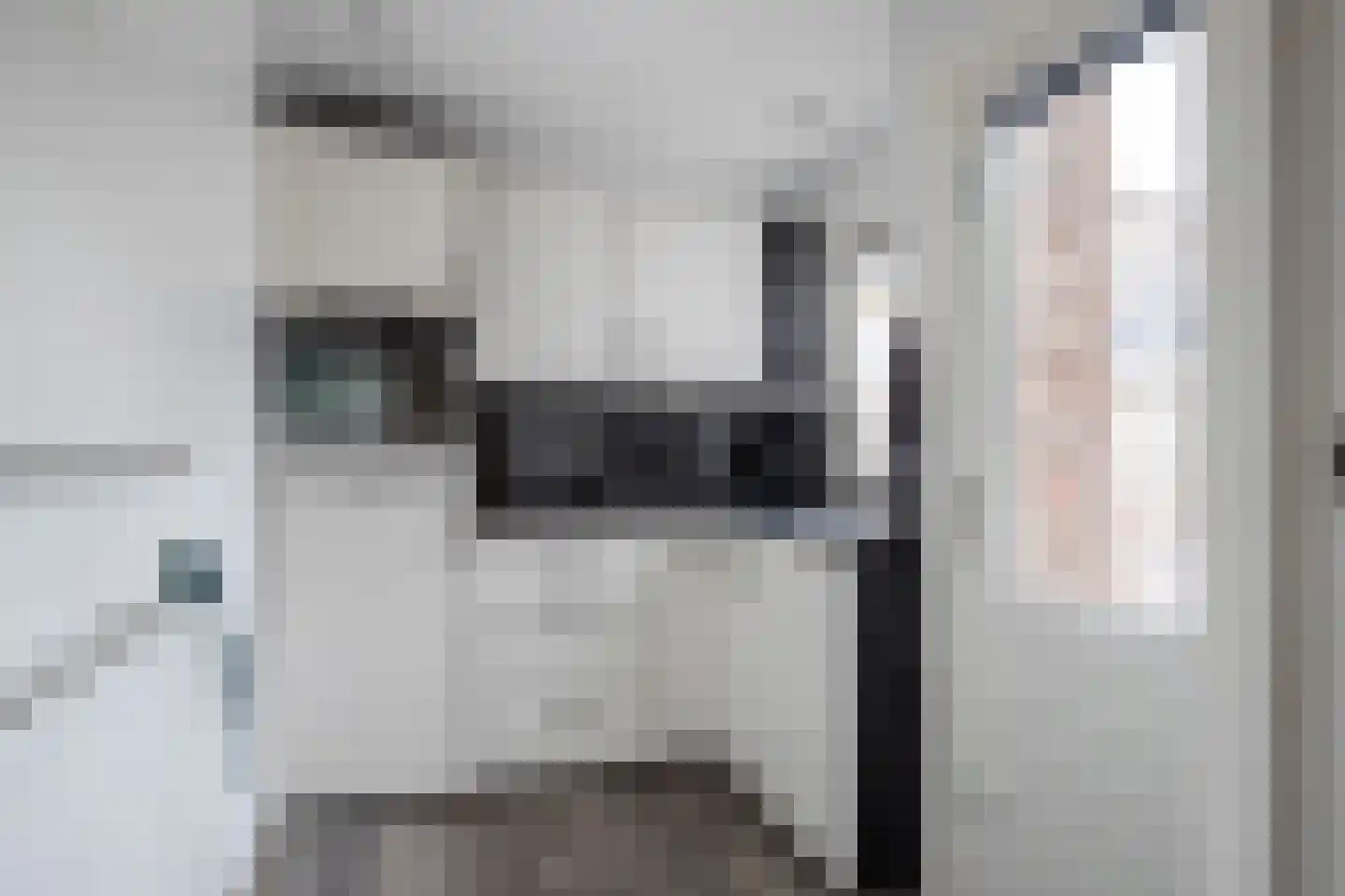 Nieuwstraat 38 Genemuiden thumbnail 16