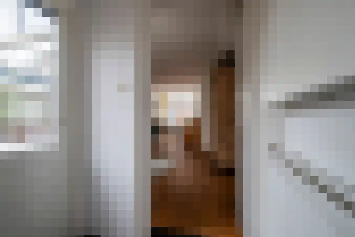 Nieuwstraat 38 Genemuiden thumbnail 18