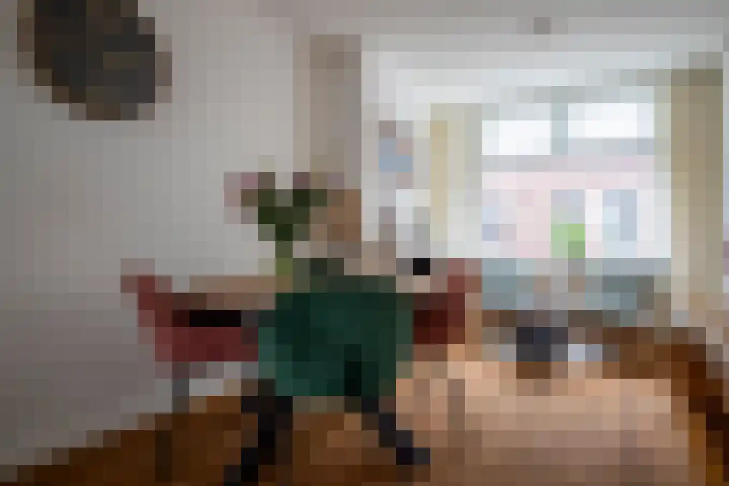 Nieuwstraat 38 Genemuiden thumbnail 21