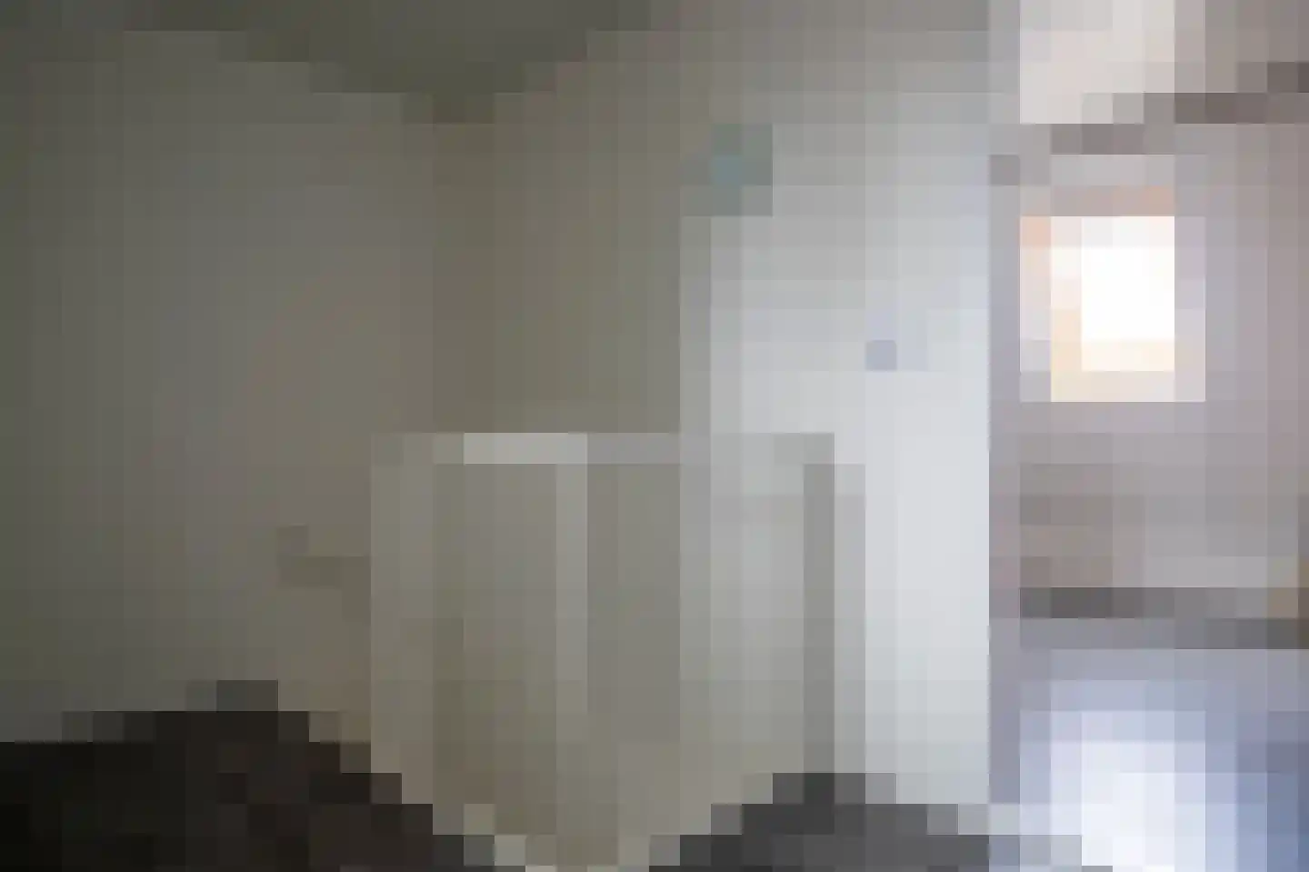 Nieuwstraat 38 Genemuiden thumbnail 34