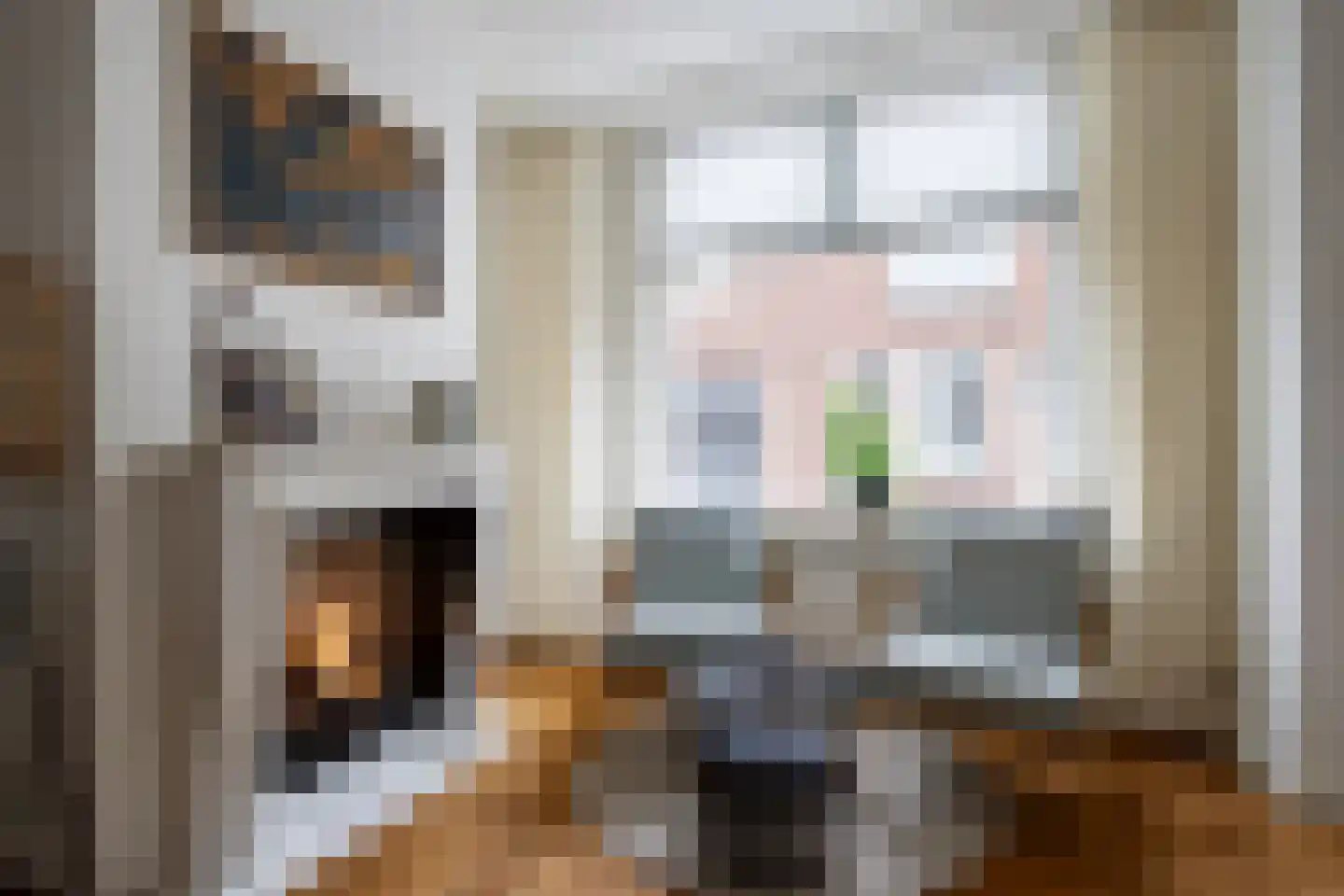 Nieuwstraat 38 Genemuiden thumbnail 4