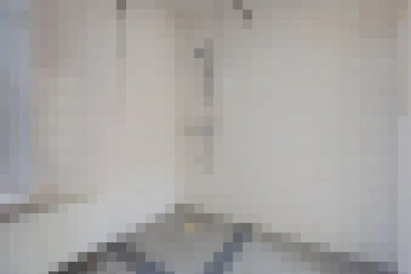 Nieuwstraat 38 Hedel thumbnail 12