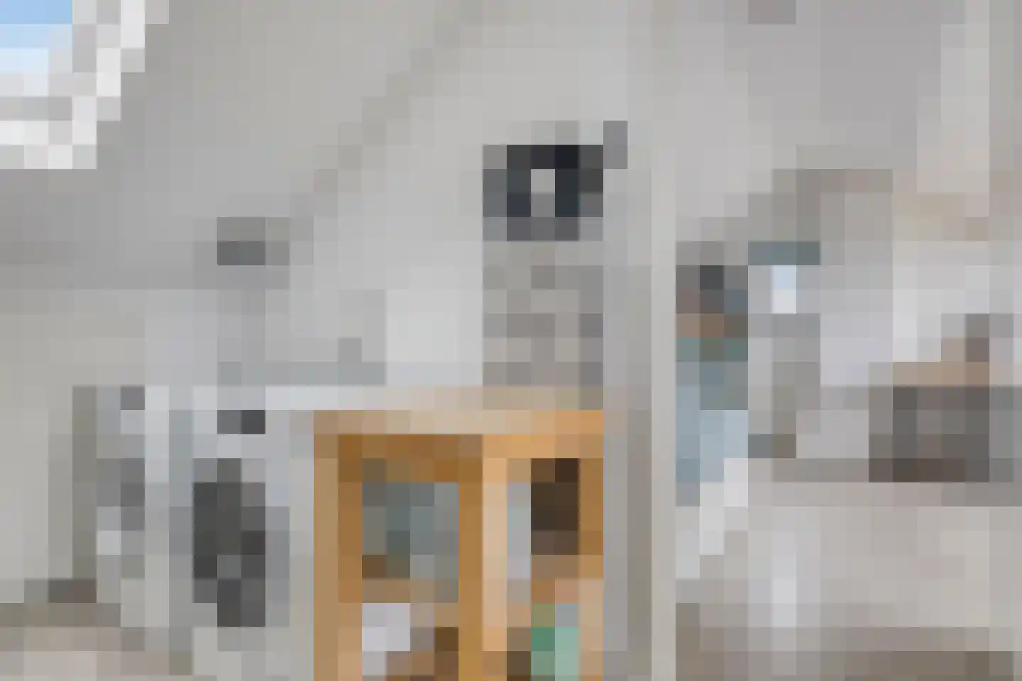 Nieuwstraat 38 Soest thumbnail 27