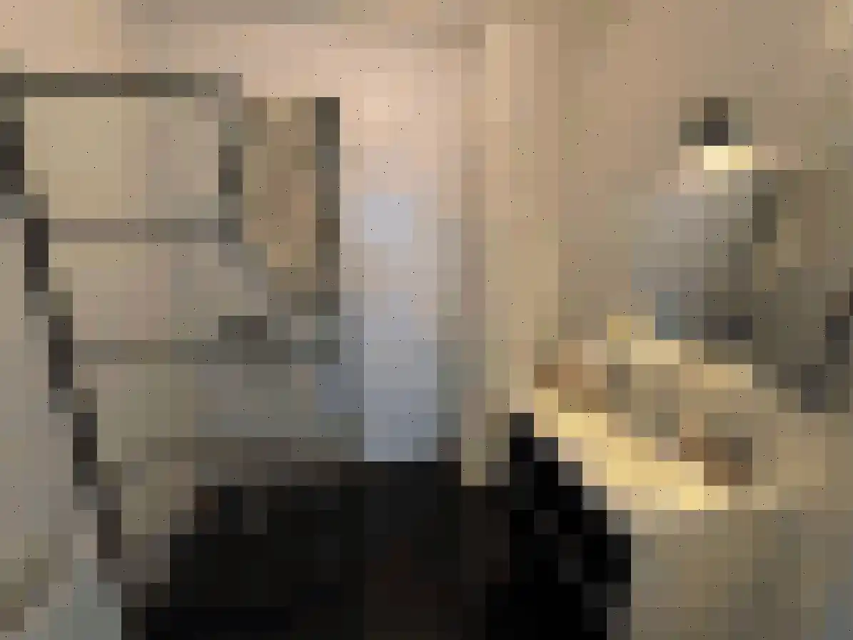 Nieuwstraat 39 b Gemert thumbnail 14