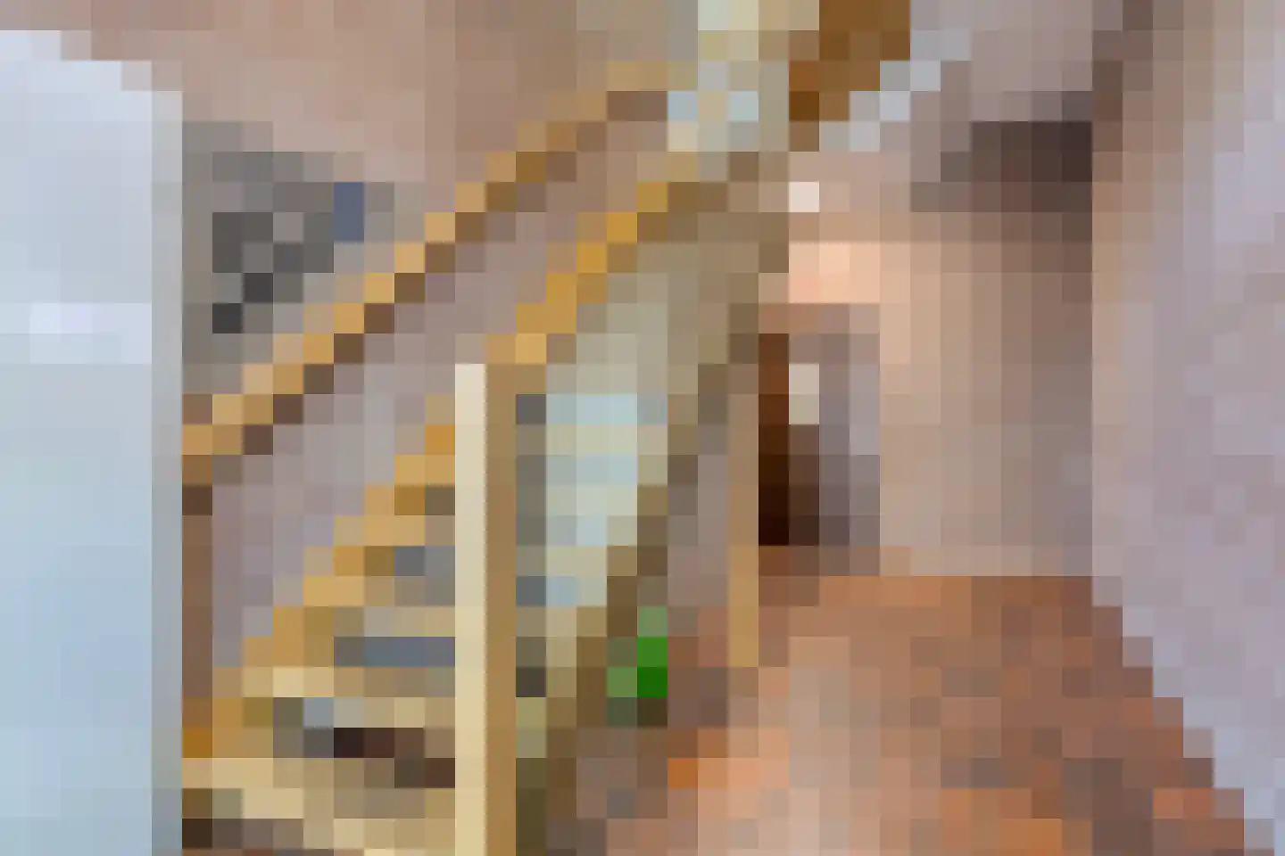 Nieuwstraat 39 b Gemert thumbnail 17