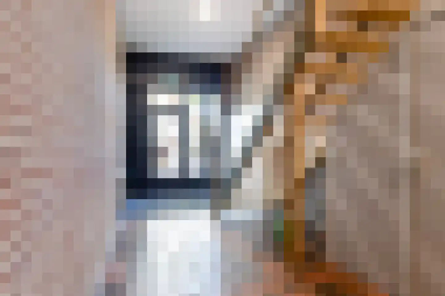 Nieuwstraat 39 b Gemert thumbnail 18