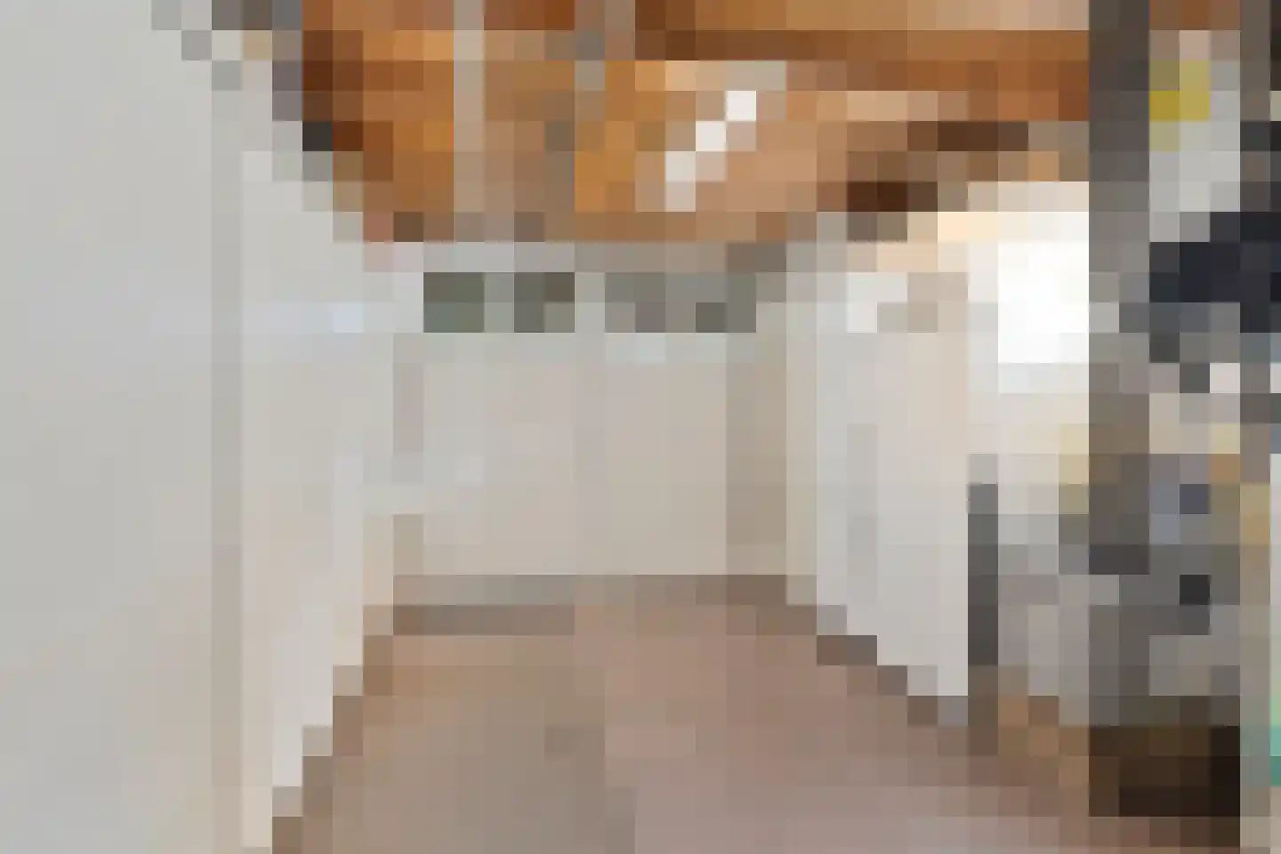 Nieuwstraat 39 Budel thumbnail 10
