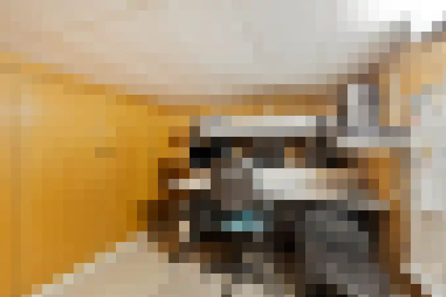 Nieuwstraat 39 Budel thumbnail 11