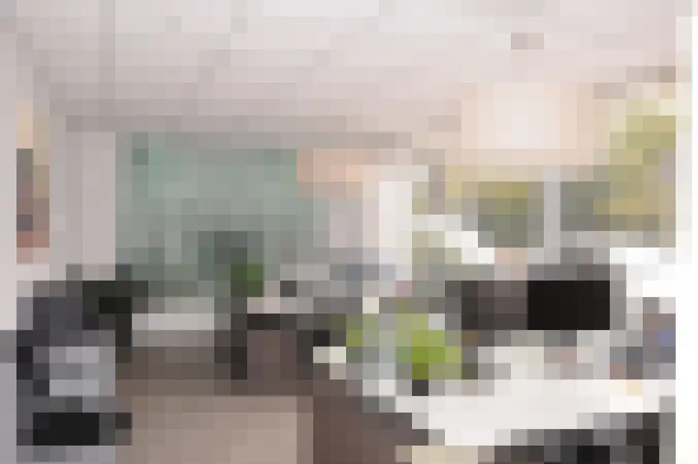 Nieuwstraat 39 Budel thumbnail 12