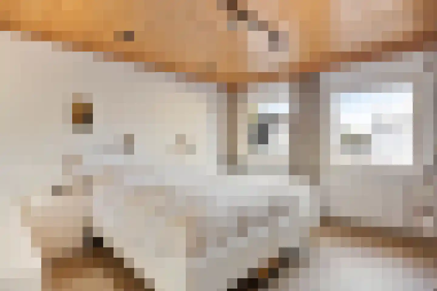 Nieuwstraat 39 Budel thumbnail 22