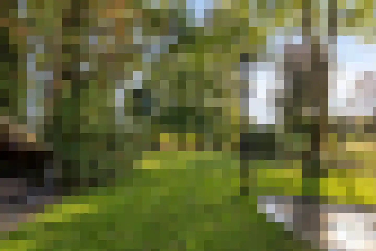 Nieuwstraat 39 Budel thumbnail 30