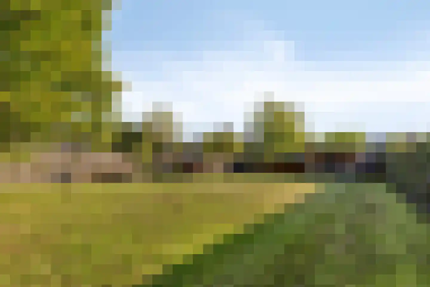 Nieuwstraat 39 Budel thumbnail 32