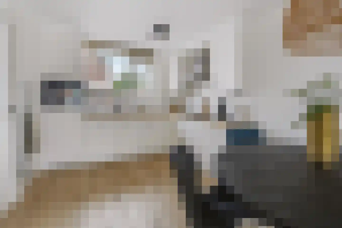 Nieuwstraat 39 Lievelde thumbnail 18