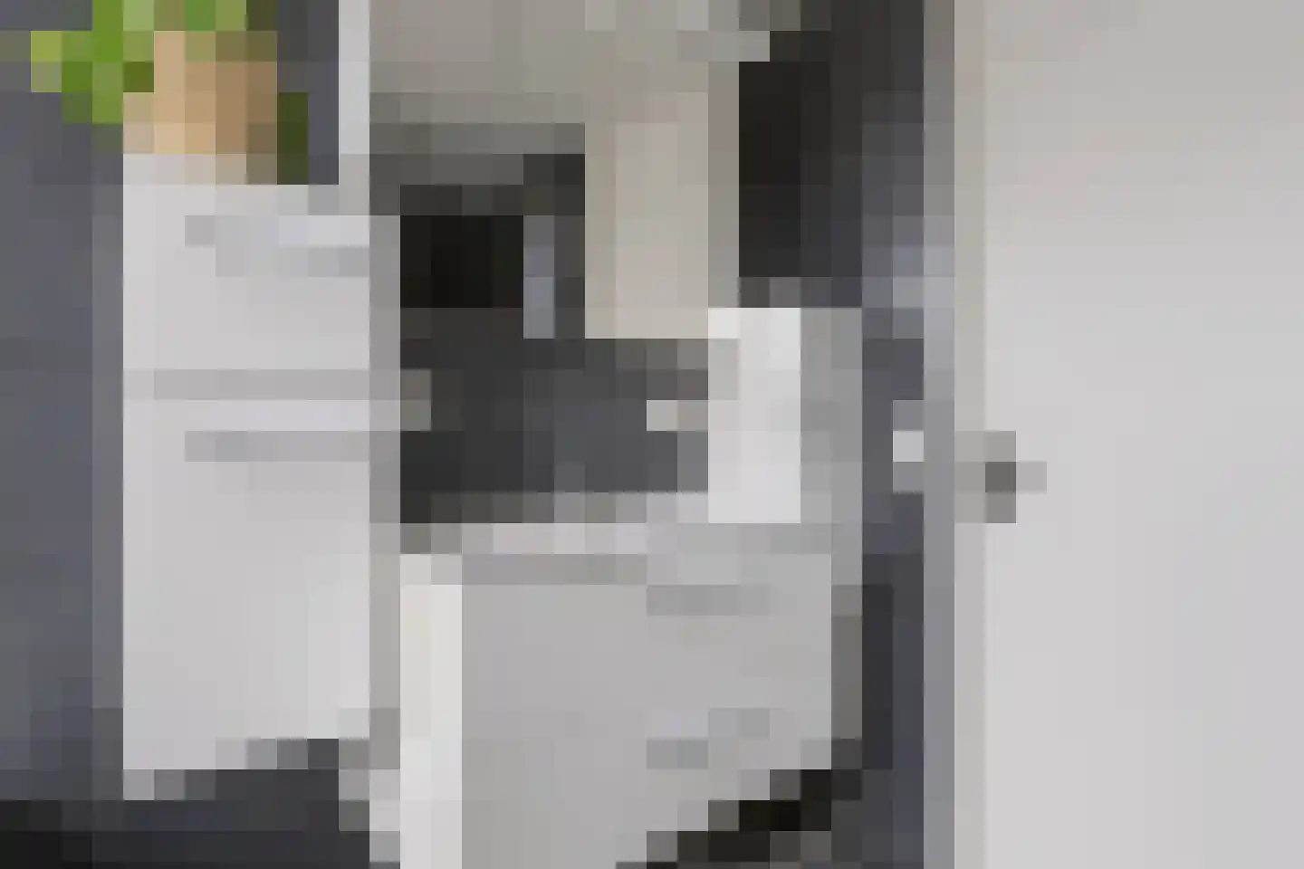 Nieuwstraat 39 Lievelde thumbnail 35