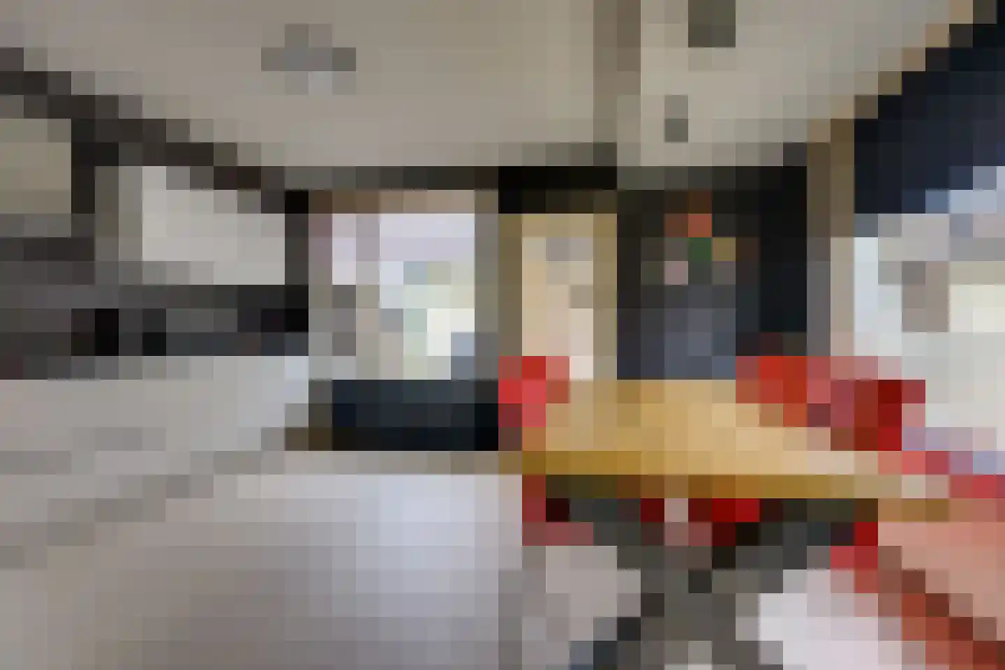 Nieuwstraat 39 Stad aan 't Haringvliet thumbnail 15