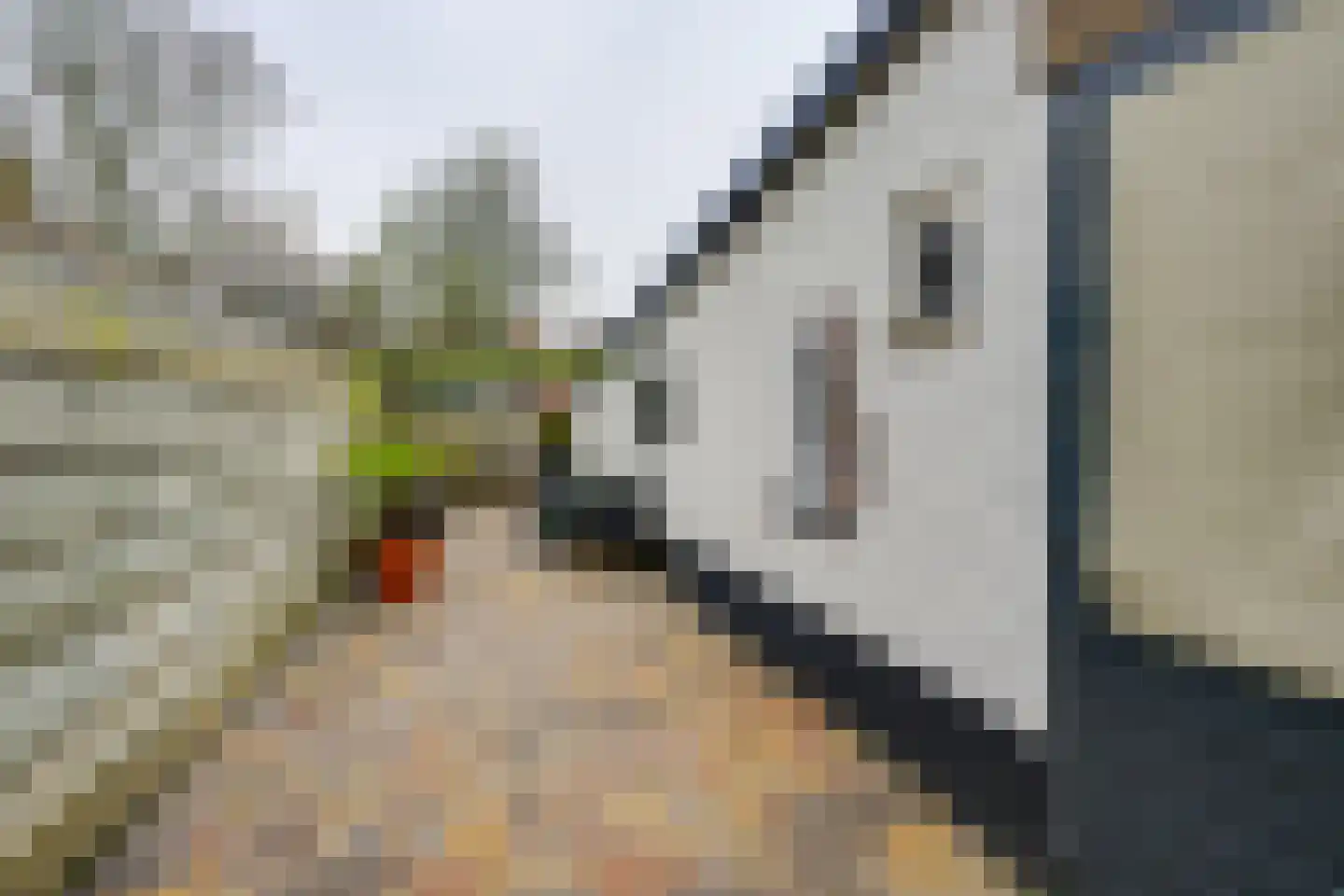 Nieuwstraat 39 Stad aan 't Haringvliet thumbnail 21