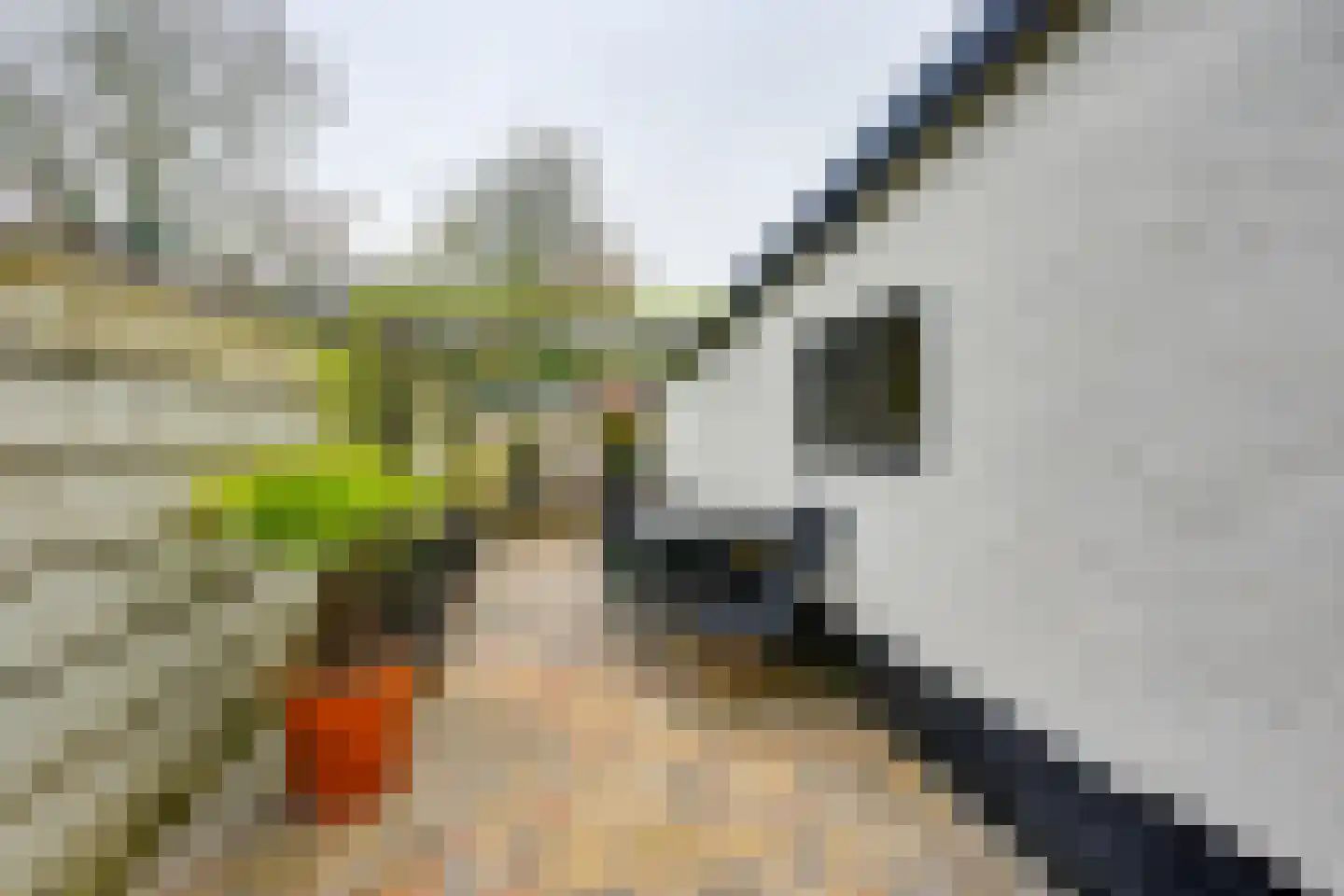 Nieuwstraat 39 Stad aan 't Haringvliet thumbnail 22