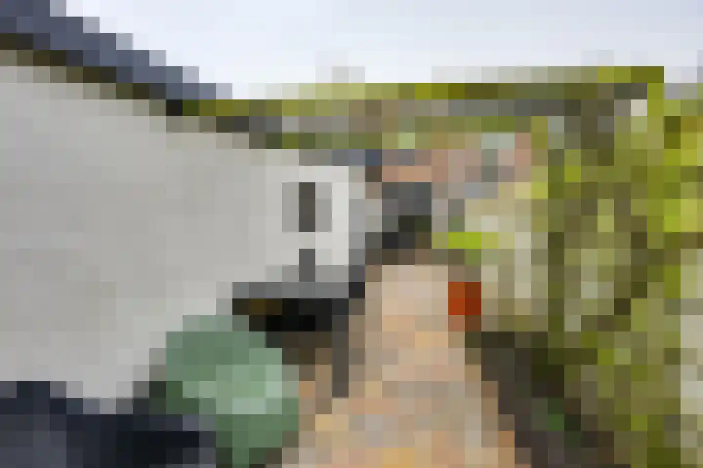 Nieuwstraat 39 Stad aan 't Haringvliet thumbnail 23