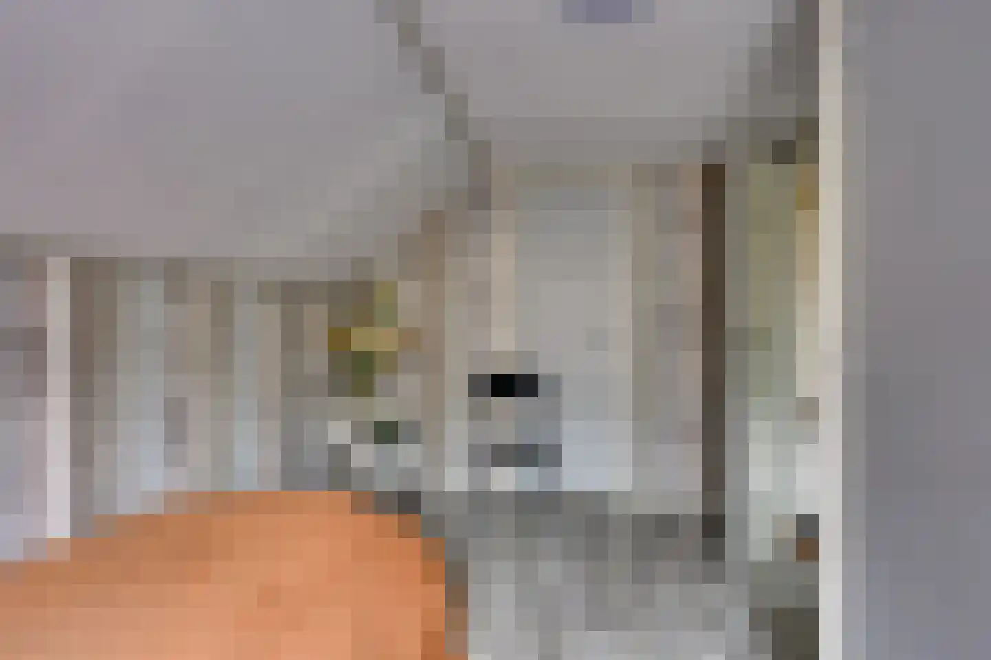 Nieuwstraat 39 Stad aan 't Haringvliet thumbnail 37