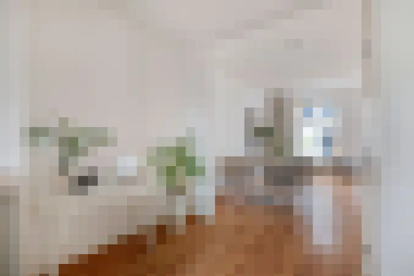 Nieuwstraat 4 D Woerden thumbnail 19