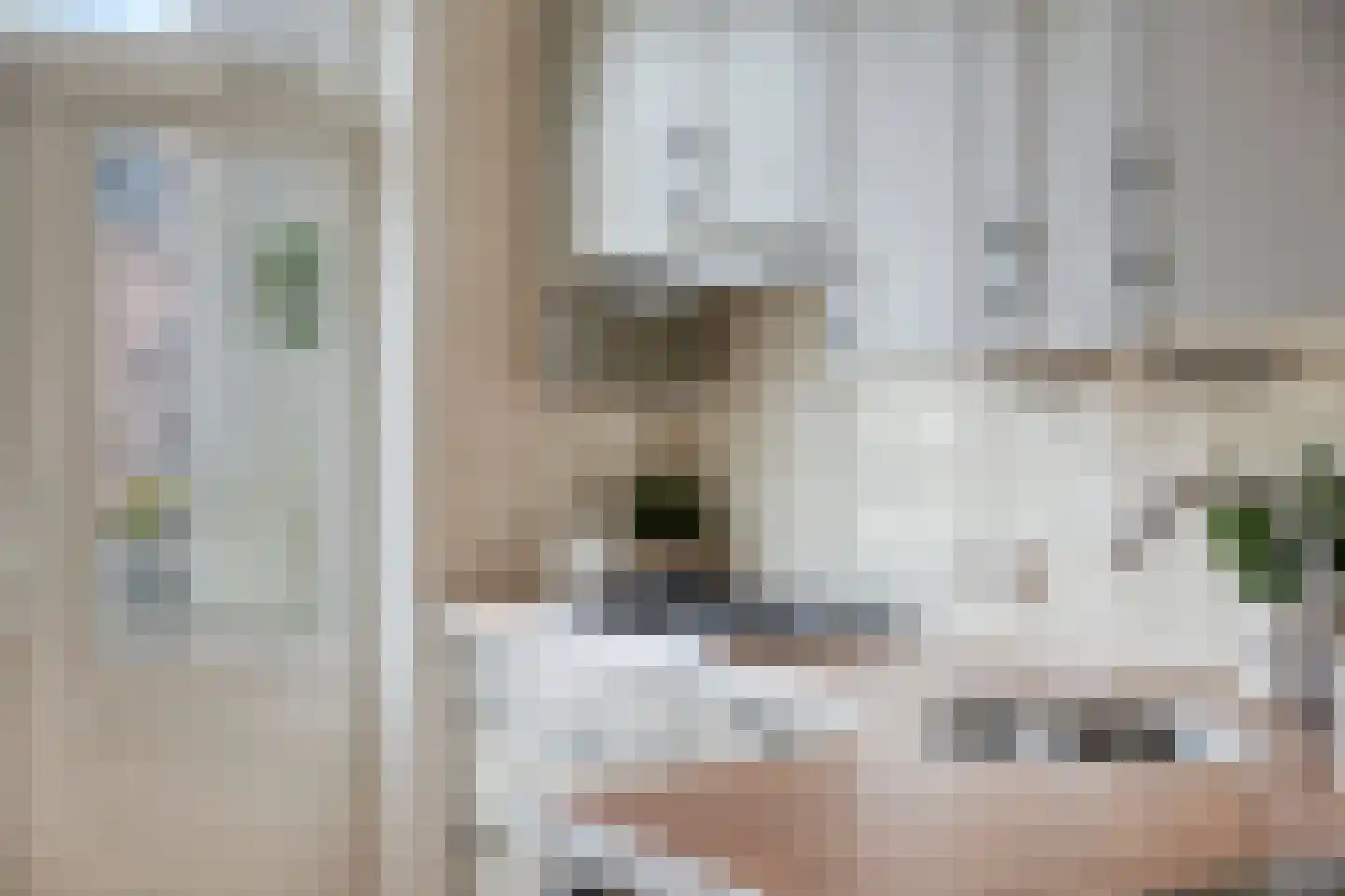 Nieuwstraat 4 D Woerden thumbnail 24