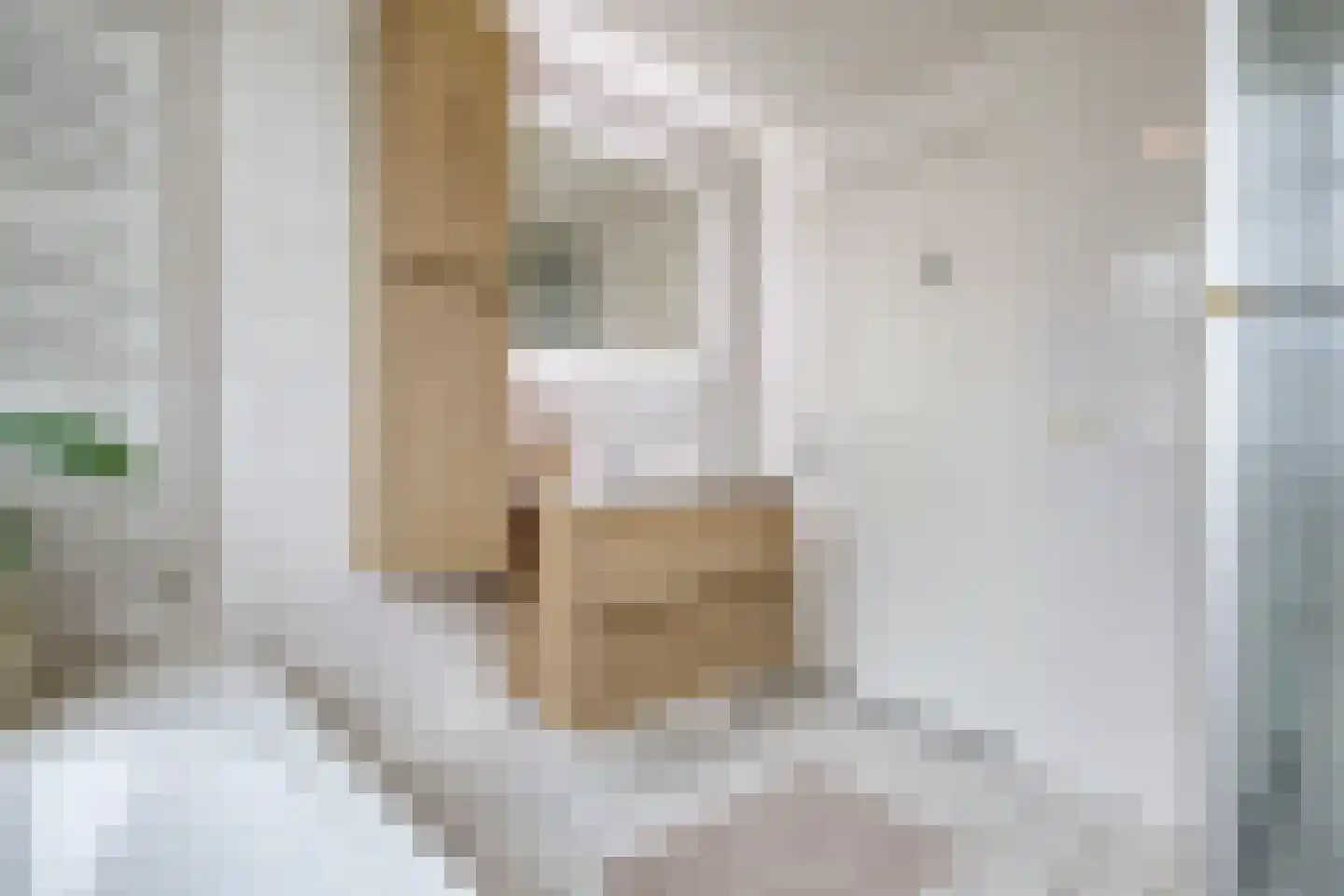 Nieuwstraat 4 D Woerden thumbnail 34