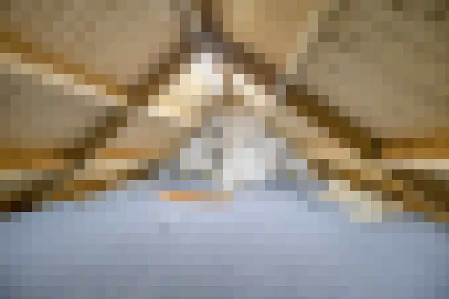 Nieuwstraat 4 D Woerden thumbnail 36