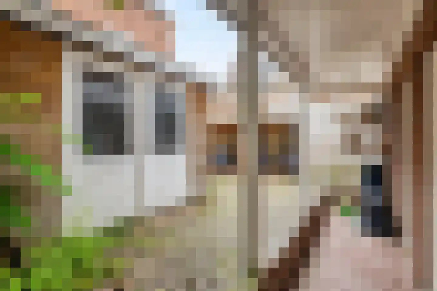Nieuwstraat 4 D Woerden thumbnail 39