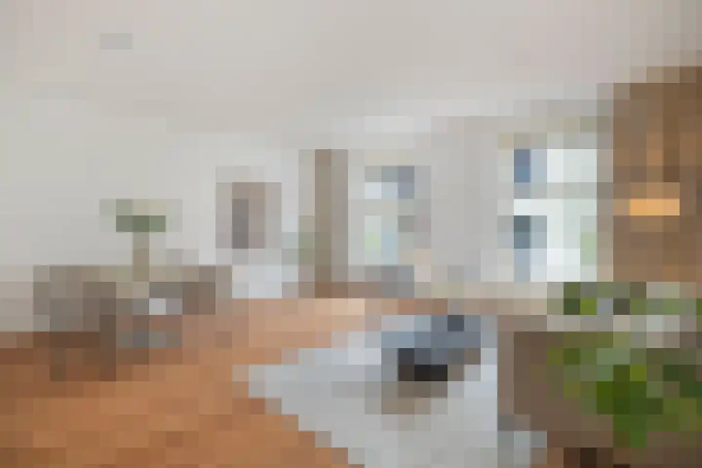 Nieuwstraat 4 D Woerden thumbnail 5