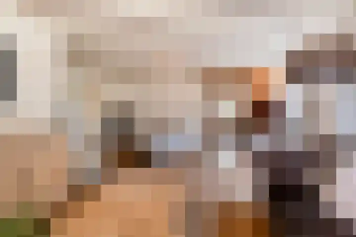 Nieuwstraat 4 Gameren thumbnail 13