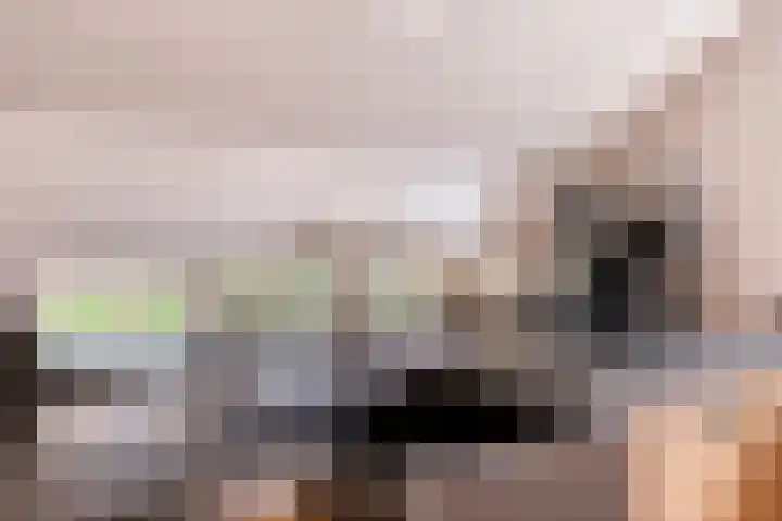 Nieuwstraat 4 Gameren thumbnail 17