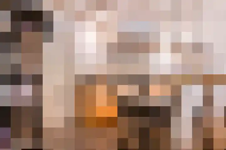 Nieuwstraat 4 Gameren thumbnail 22