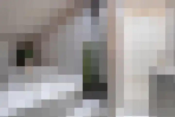 Nieuwstraat 4 Gameren thumbnail 29