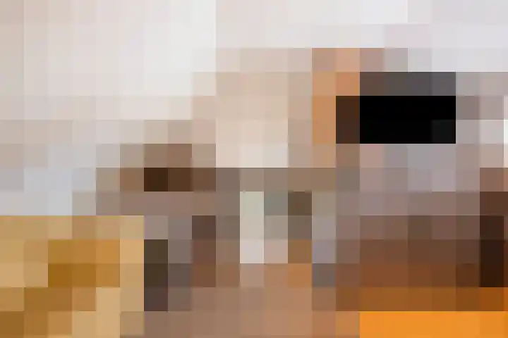 Nieuwstraat 4 Gameren thumbnail 33