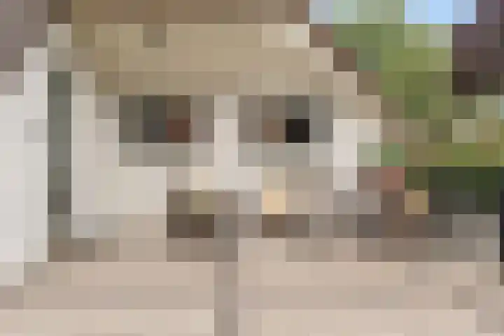 Nieuwstraat 4 Gameren thumbnail 36