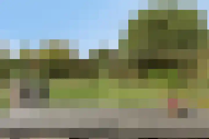 Nieuwstraat 4 Gameren thumbnail 38