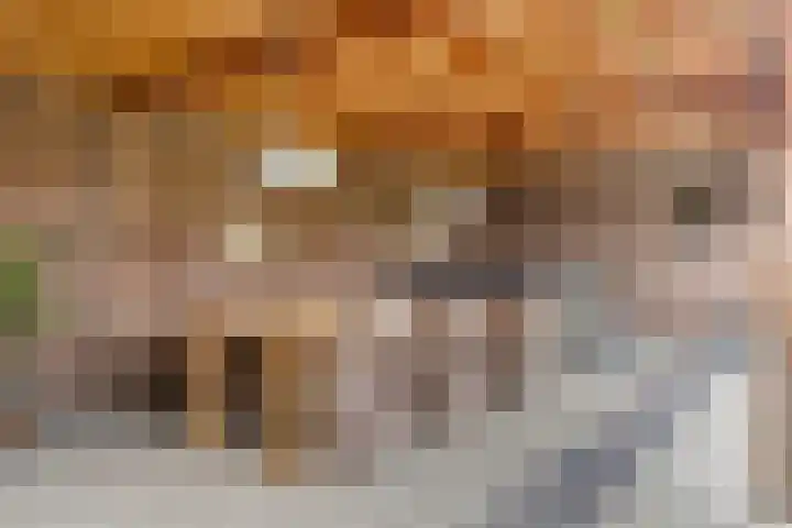 Nieuwstraat 4 Gameren thumbnail 42