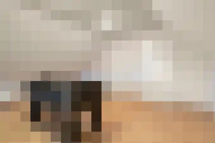 Nieuwstraat 4 Gameren thumbnail 59