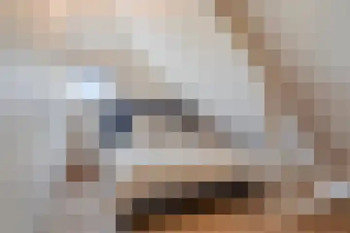 Nieuwstraat 4 Gameren thumbnail 60