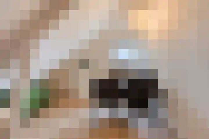 Nieuwstraat 4 Gameren thumbnail 61